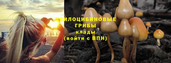 трава Алексин