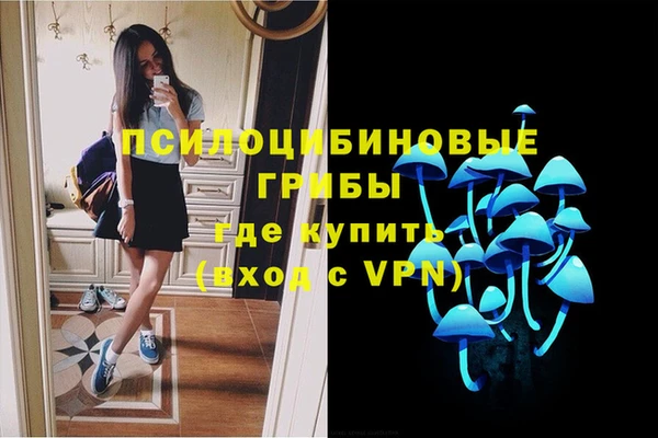 синтетический гашиш Алексеевка