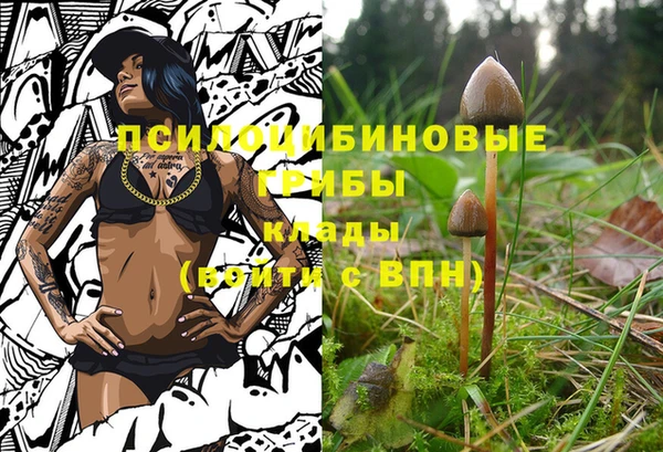 синтетический гашиш Алексеевка