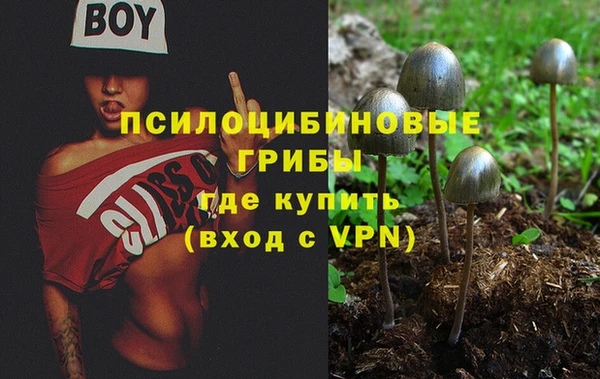 синтетический гашиш Алексеевка