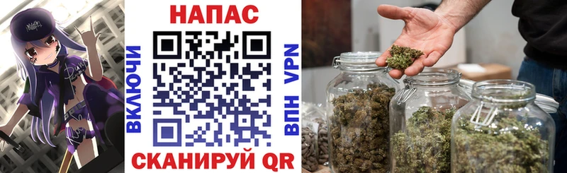 Бошки Шишки план  Новоульяновск 